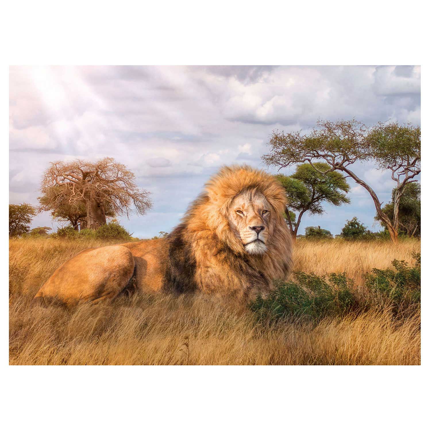 Clementoni Puzzle The King 1000Pcs