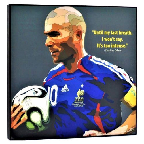 Famous Pop Art Zinedine Zidane Rm 25X25