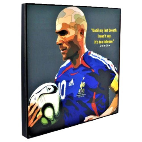 Famous Pop Art Zinedine Zidane Rm 25X25