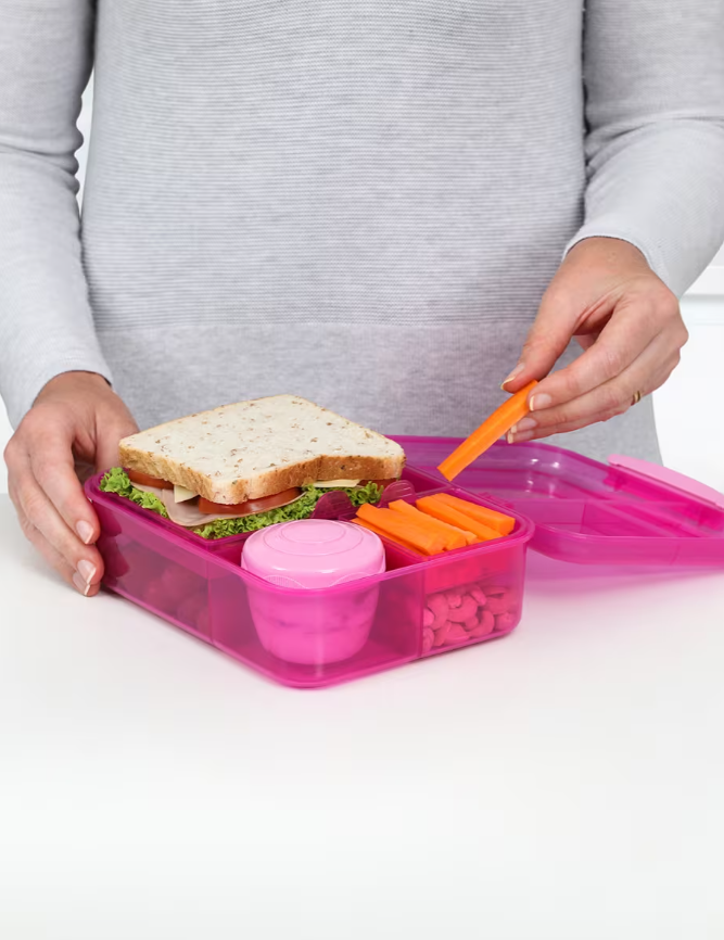 Bento Lunch Lunch Box 1.65 Ltr