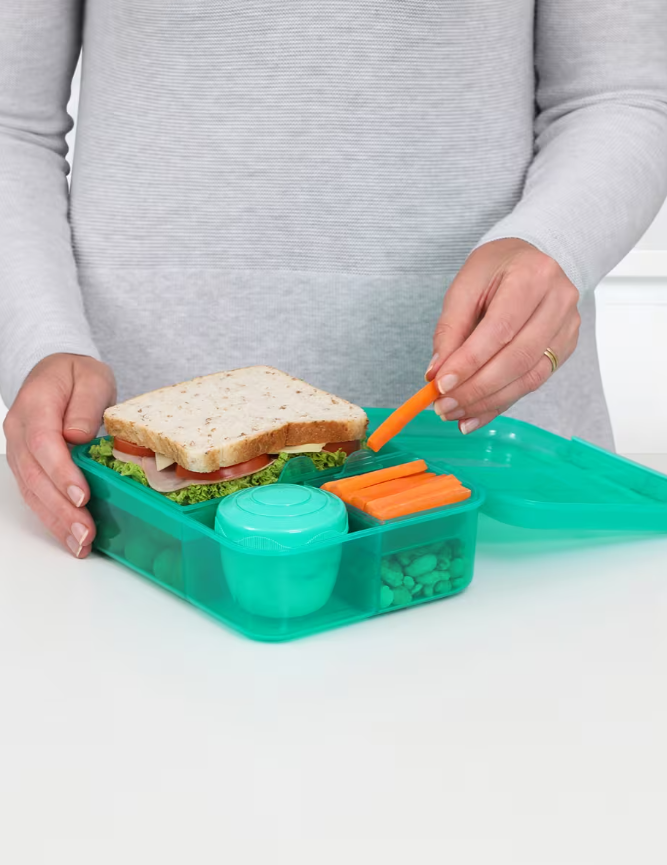 Bento Lunch Lunch Box 1.65 Ltr