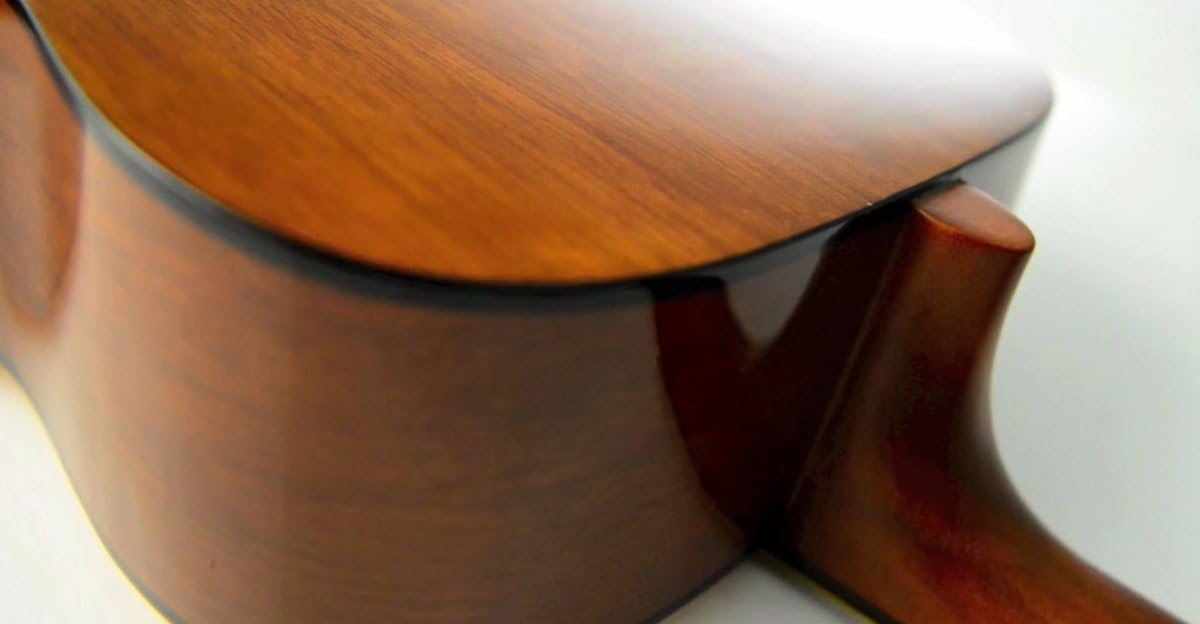 Yamaha Acoustic Guitar F-310