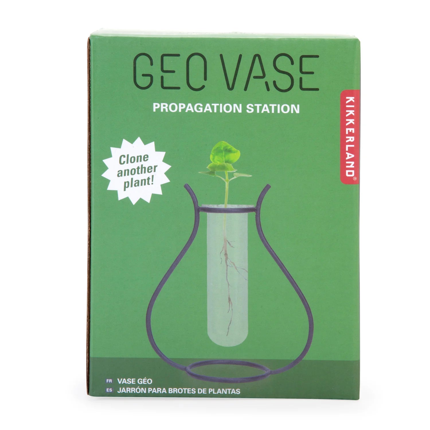 Kikkerland Geo Vase Propagation Station