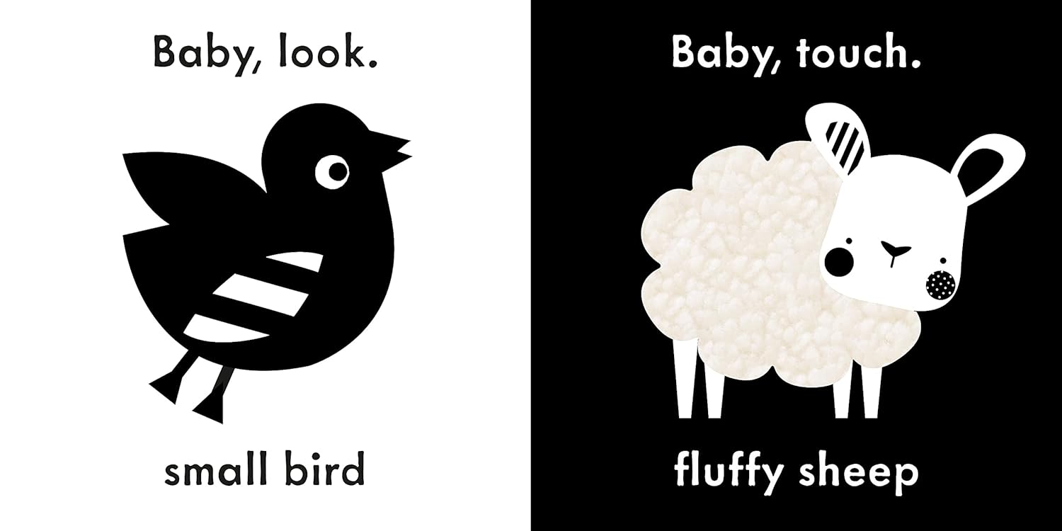Baby Touch My First Book A Blackandw