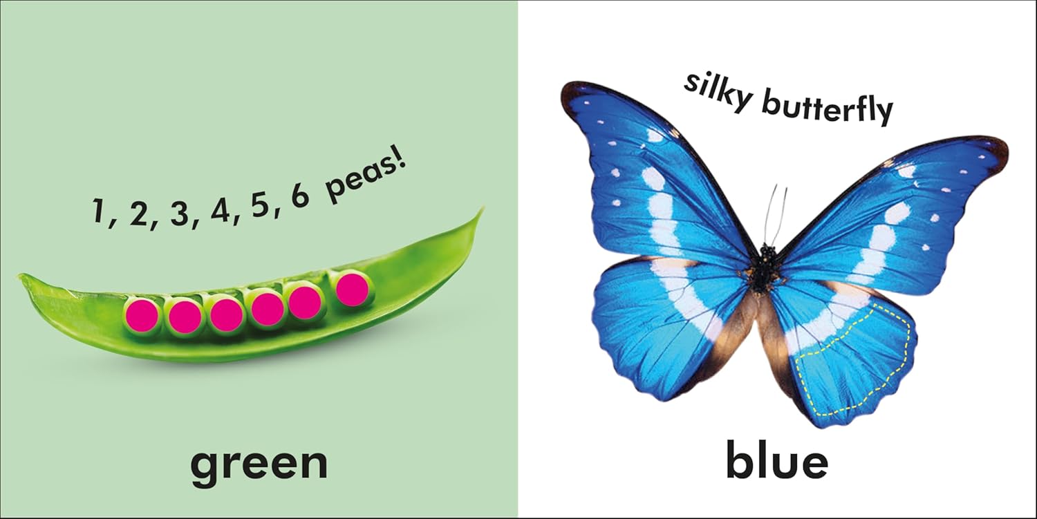 Baby Touch And Feel: Colors And Shapes