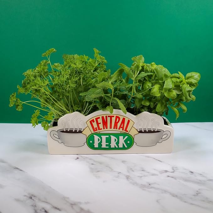 Halfmoon Bay Vase Shaped Friends Central Perk