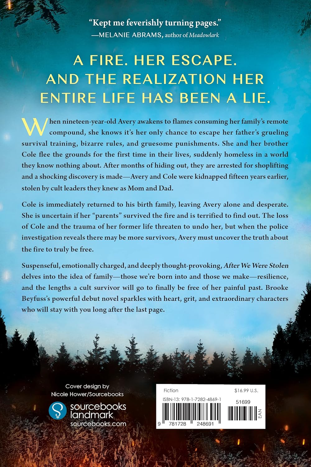 After We Were Stolen: A Novel
