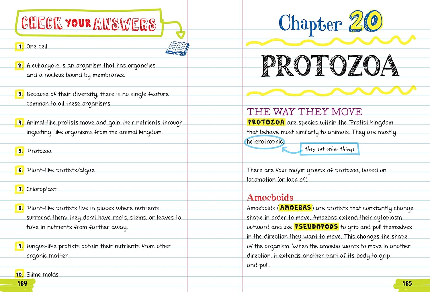 Everything You Need To Ace Biology In One Big Fat Notebook