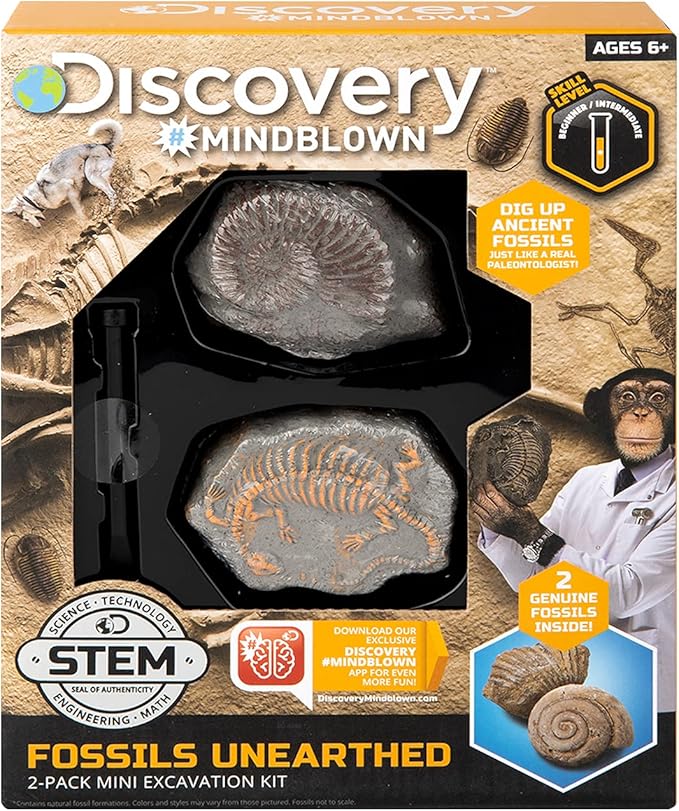 Discovery - Toy Excavation Kit Mini Fossil 2Pc