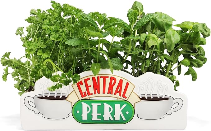 Halfmoon Bay Vase Shaped Friends Central Perk