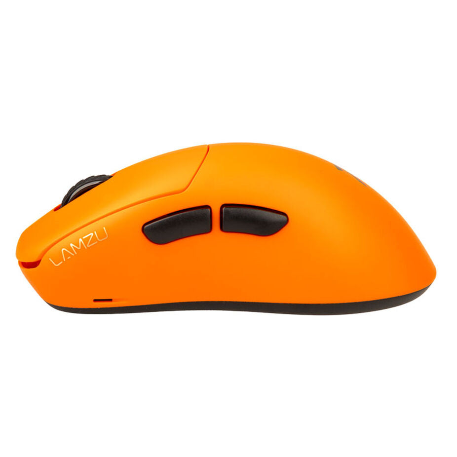 THORN, FNATIC EDITION