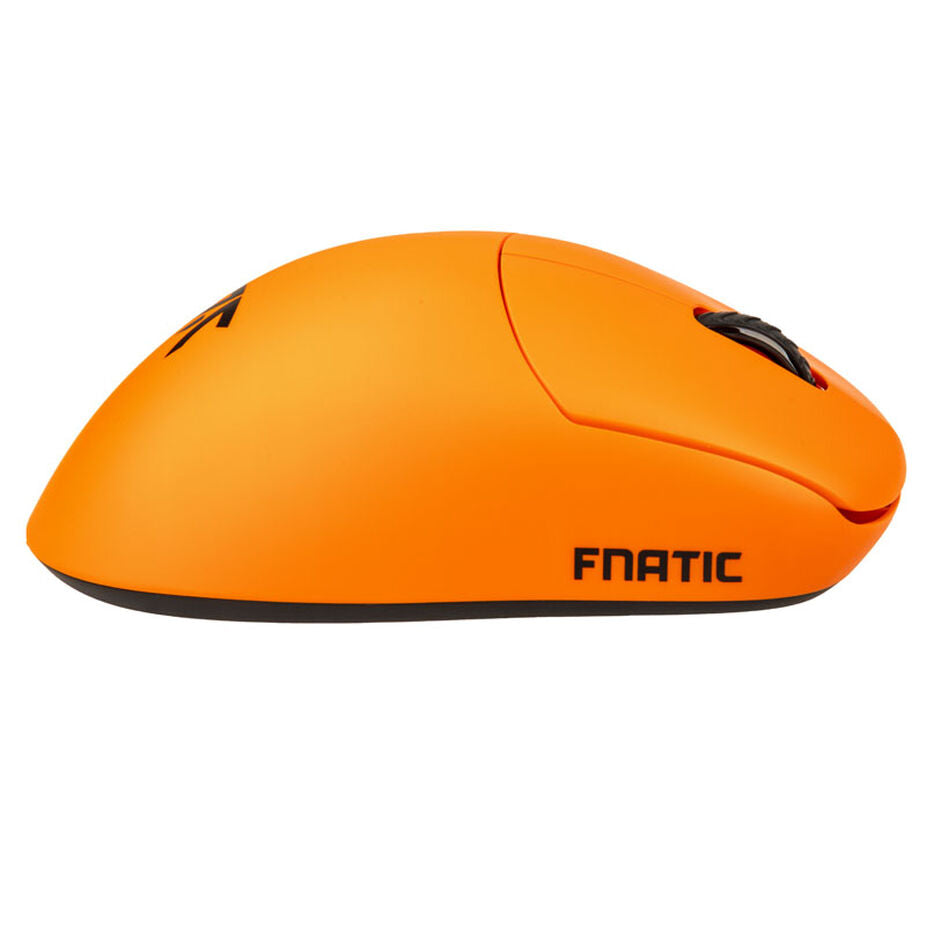 THORN, FNATIC EDITION