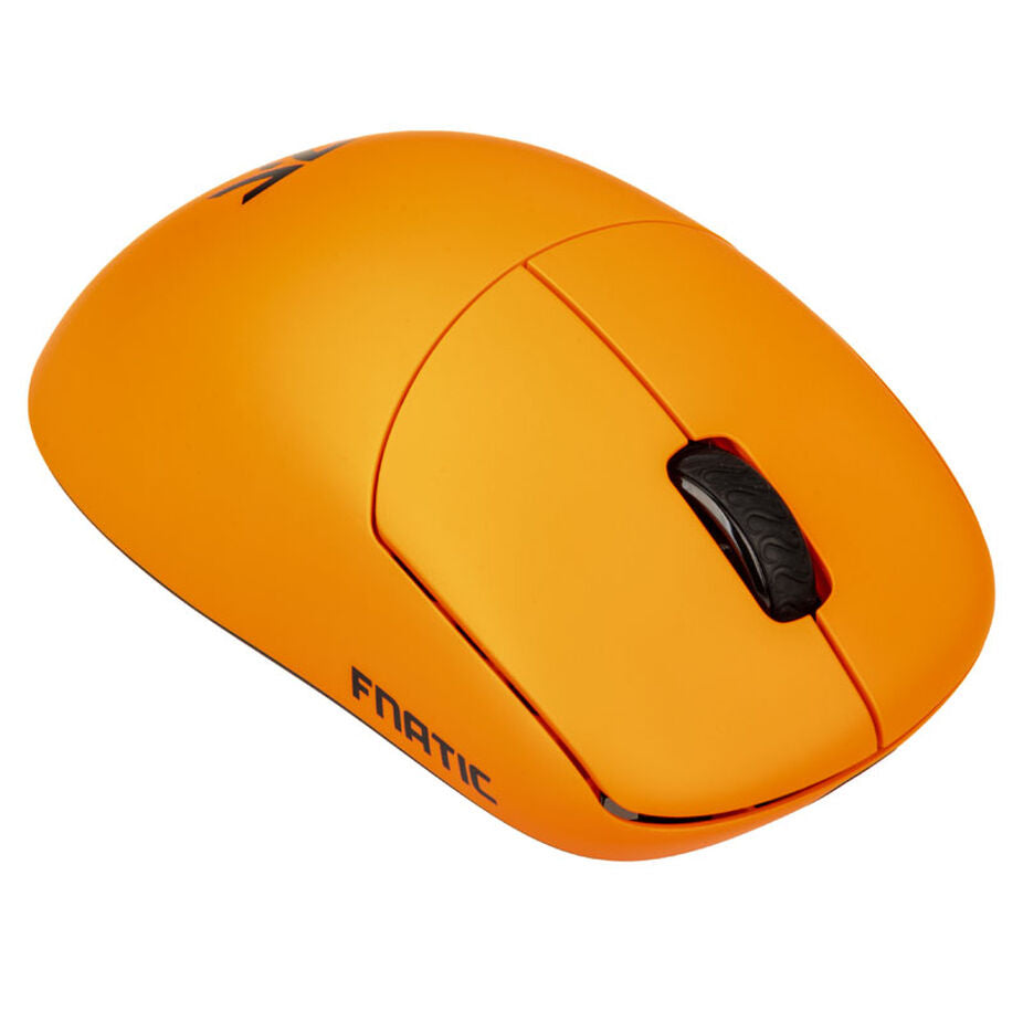 THORN, FNATIC EDITION
