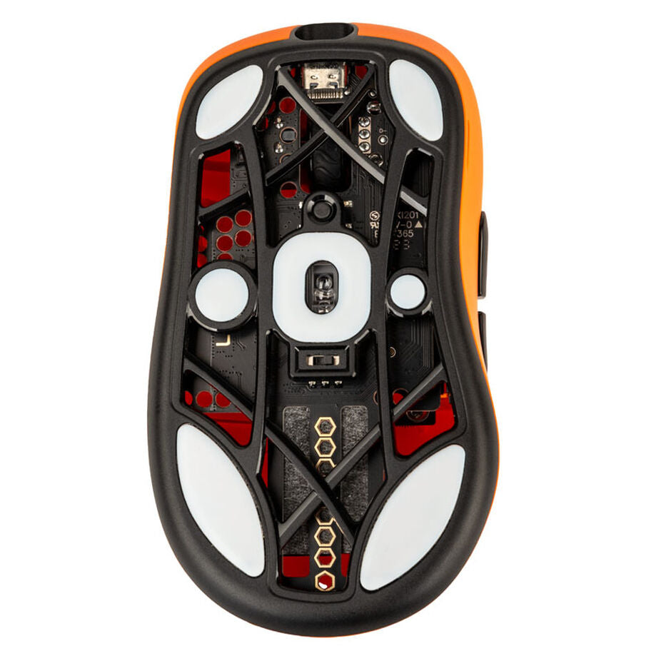 THORN, FNATIC EDITION