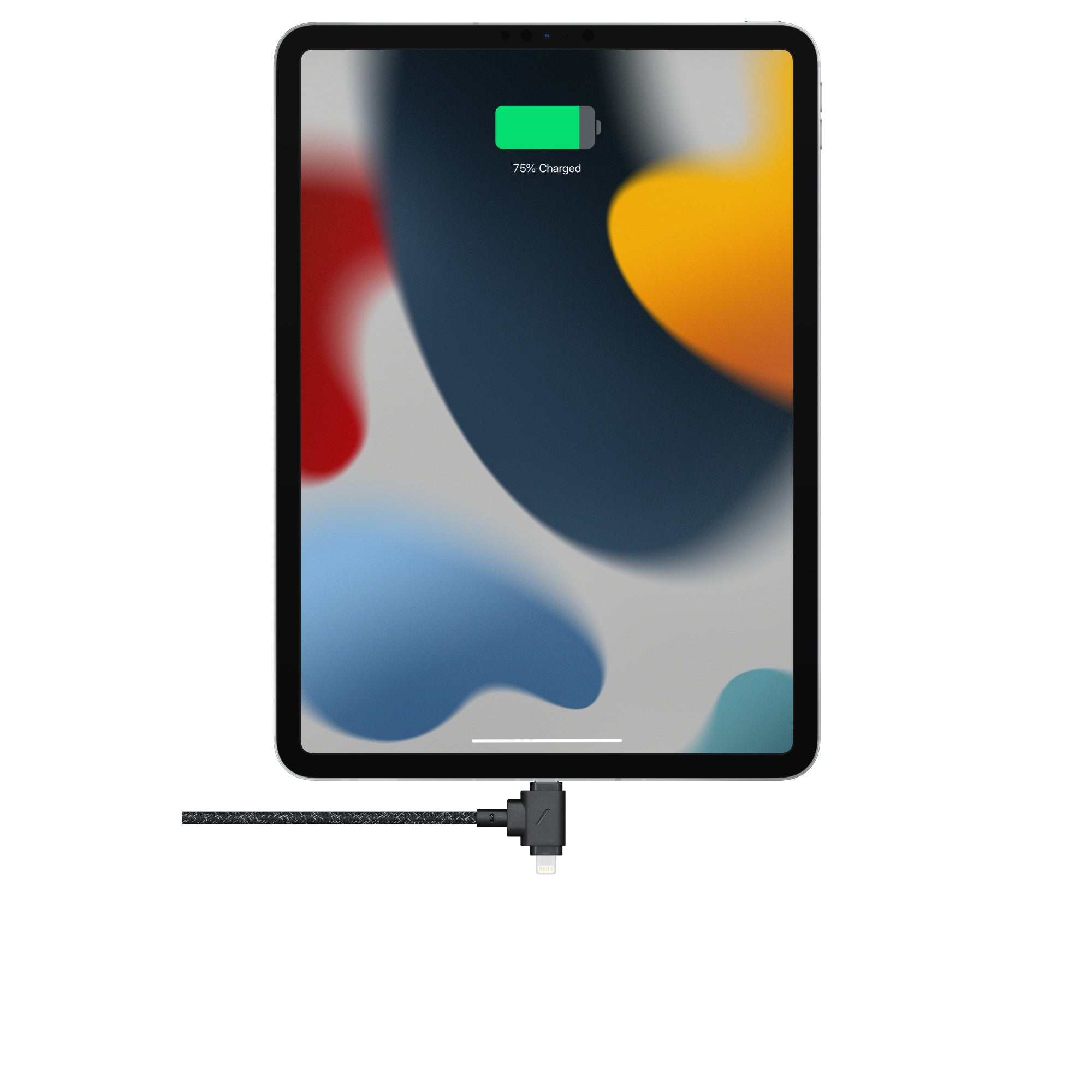 Native Union Belt 1.5M Cable Duo Usb C To C + Lightining Cosmos