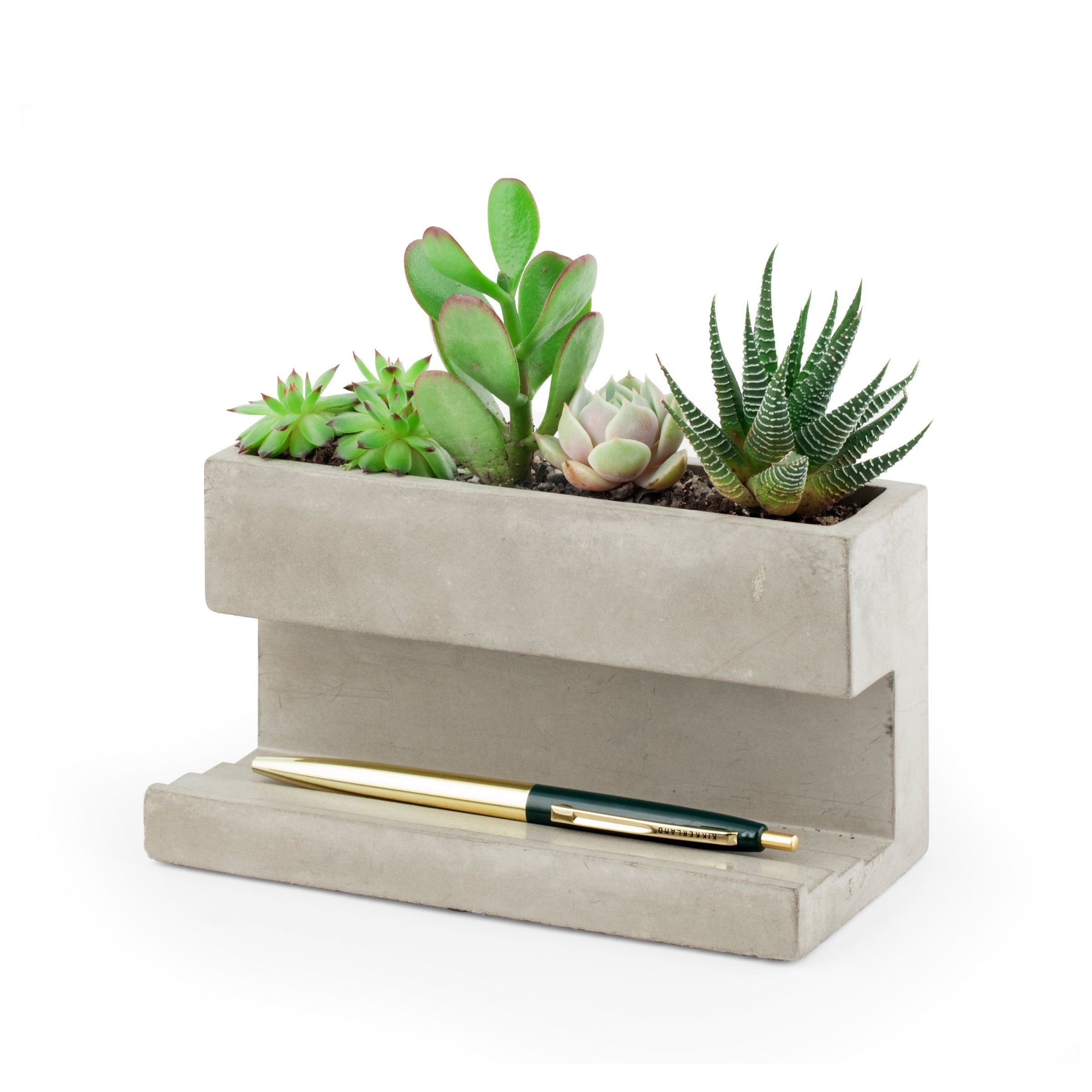 Kikkerland Concrete Desktop Planter Large