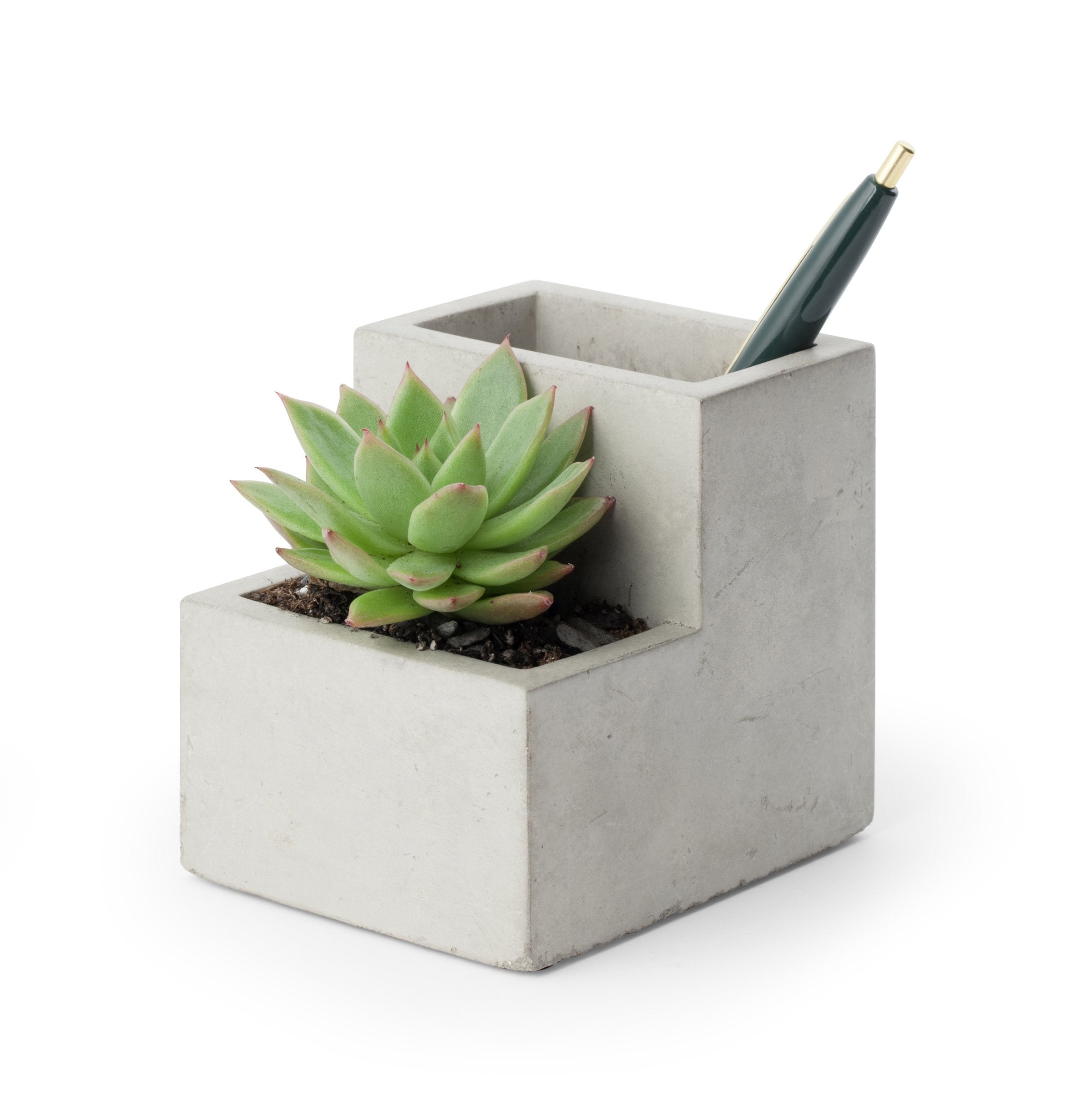 Kikkerland Concrete Desktop Planter Small