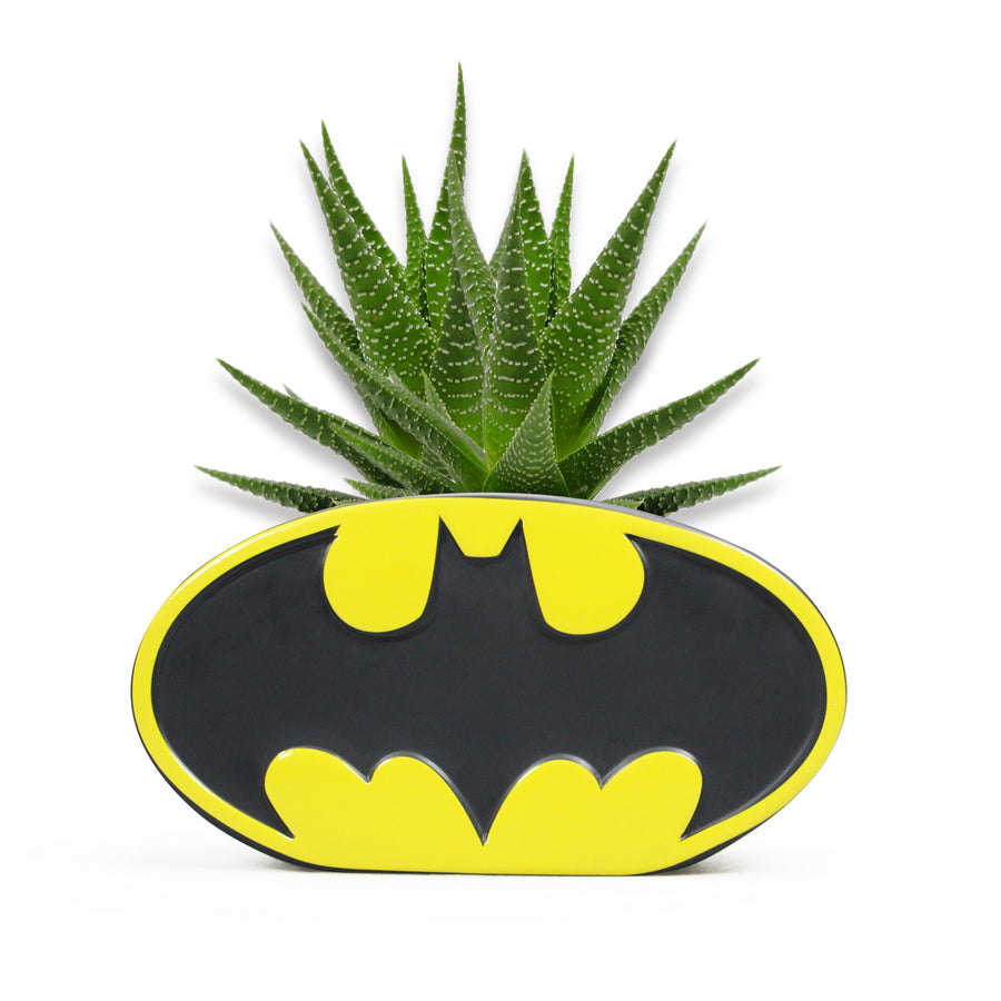 Halfmoon Bay Ceramic Pot Shaped Batman Logo