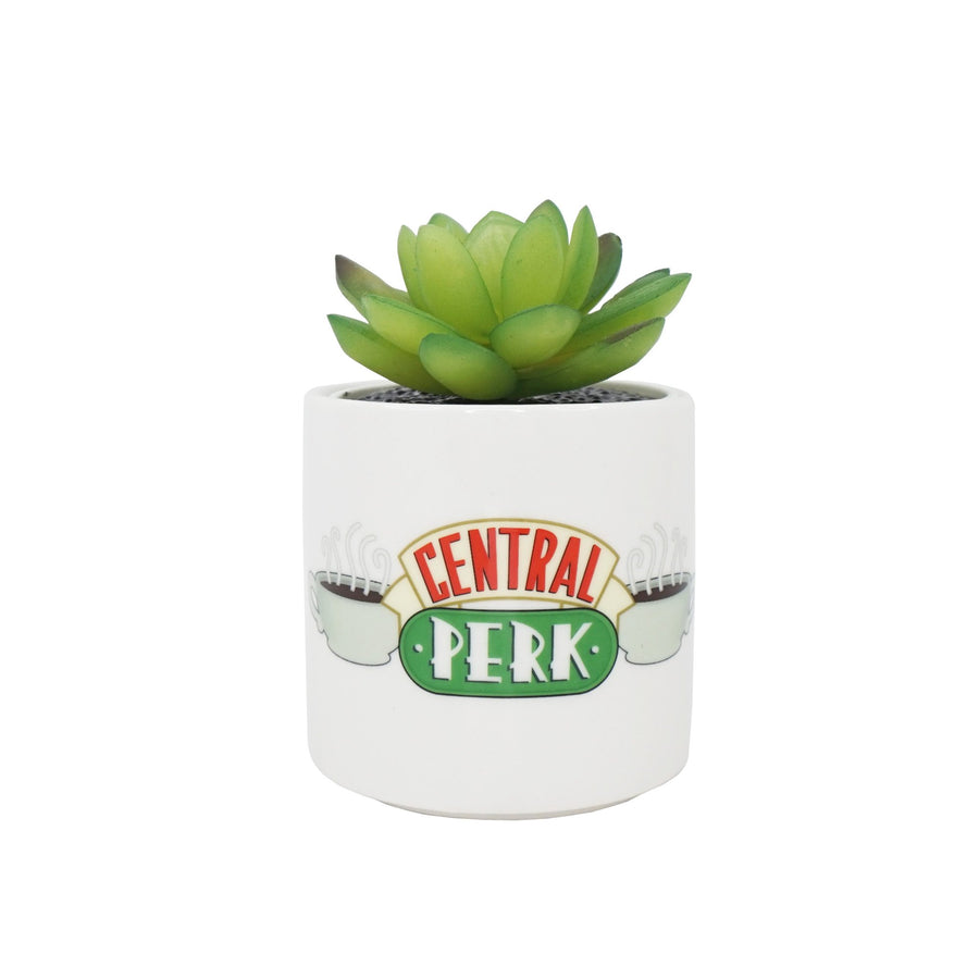 Halfmoon Bay Plant Pot Faux Boxed 6.5Cm Friends Central Perk