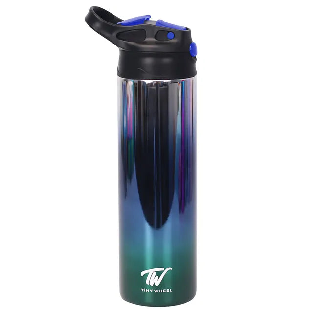 Reflective Stainless Steel Bottle Blue 530ml