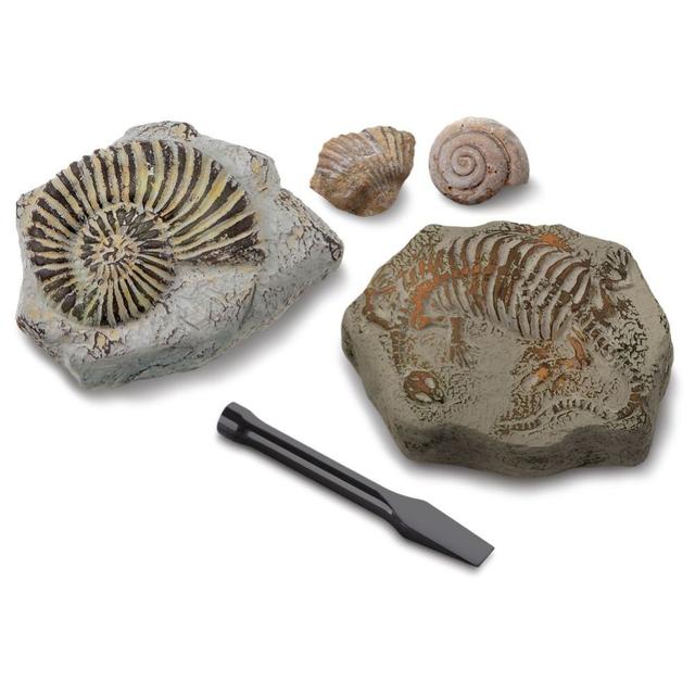 Discovery - Toy Excavation Kit Mini Fossil 2Pc