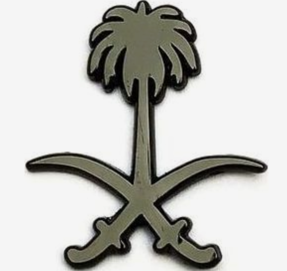 بروش سيفين ونخلة أسود
