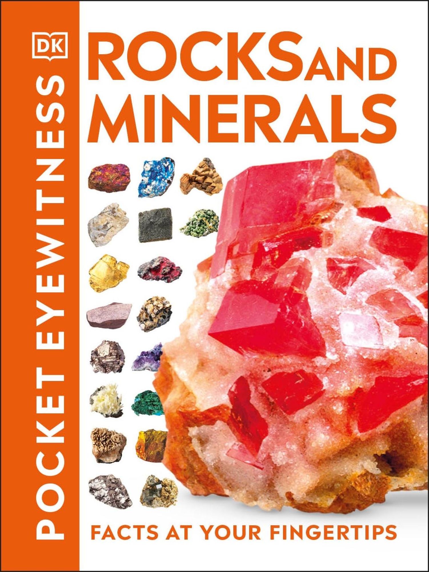 Pocket Eyewitness Rocks And Minerals