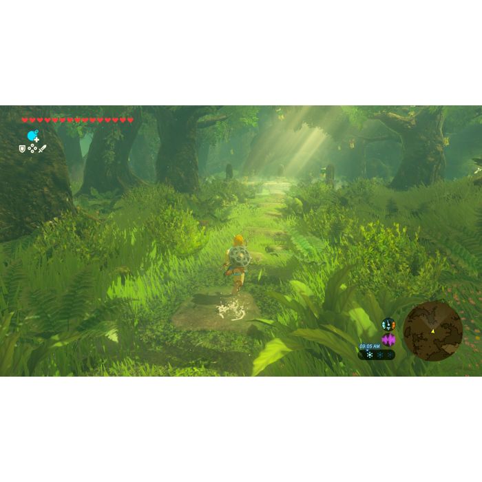 ZELDA BREATH WILD UP