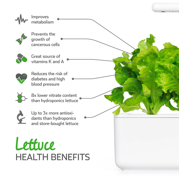 Click & Grow Seeds Green Lettuce