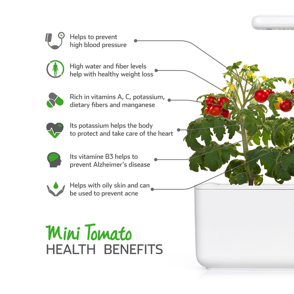 Click & Grow Seeds Mini Tomato