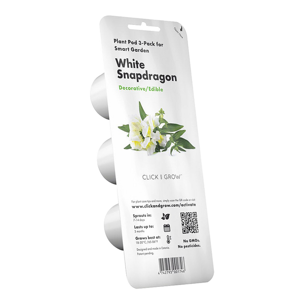 Click & Grow White Snapdragon / 3-pack