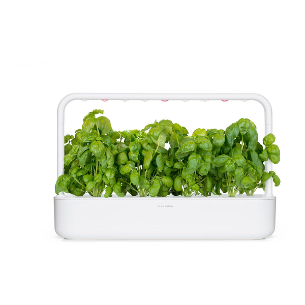 Click & Grow Seeds Basil