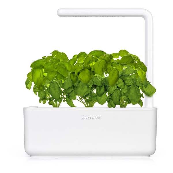Click & Grow Seeds Basil