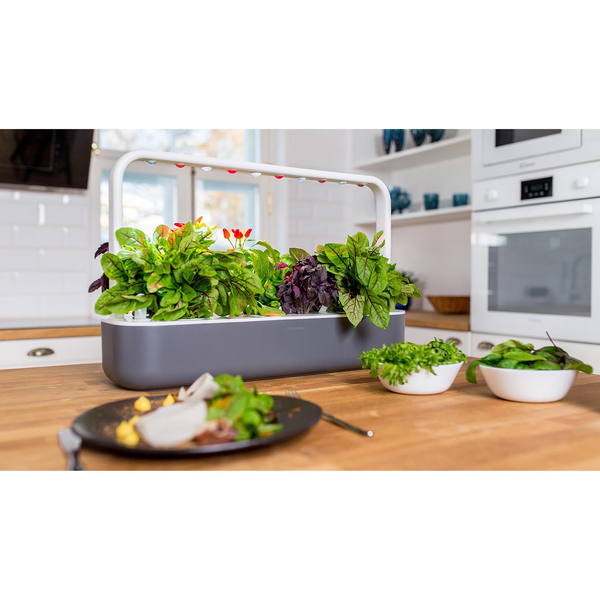 Click & Grow indoor smart garden 9 Grey