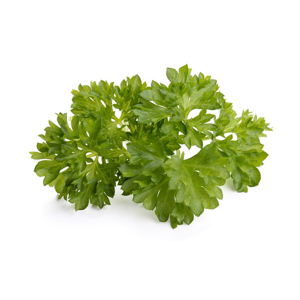 Click & Grow Seeds Parsley