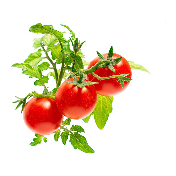Click & Grow Seeds Mini Tomato