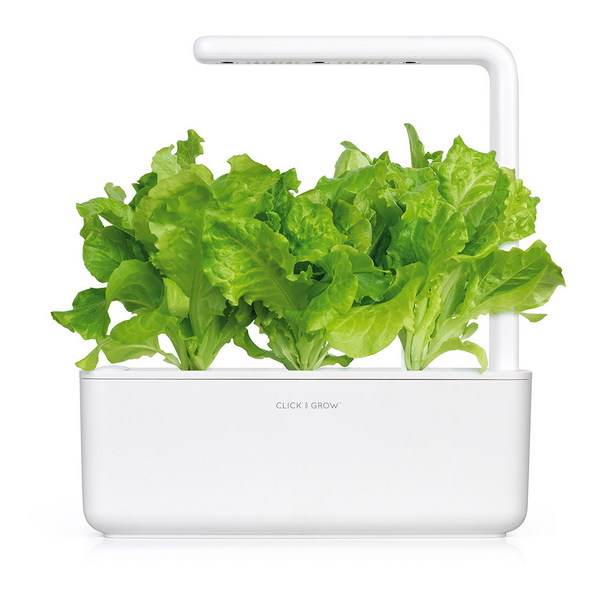 Click & Grow Seeds Green Lettuce