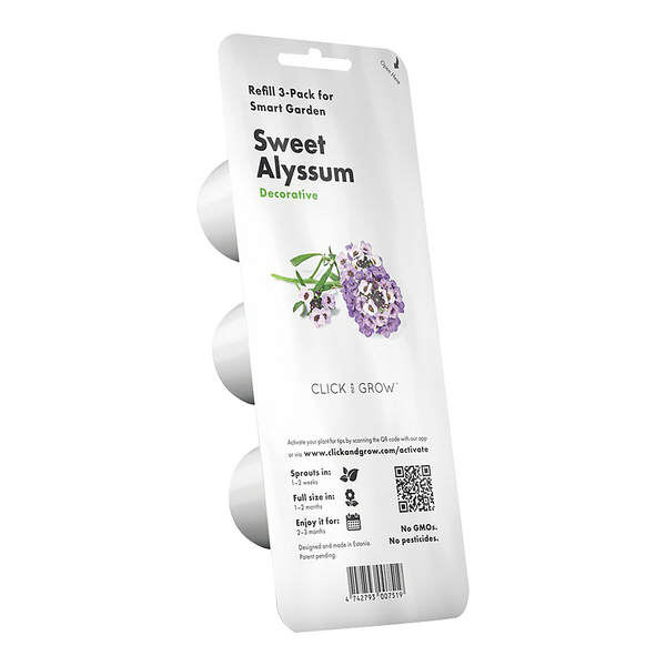 Click & Grow Sweet Alyssum / 3-pack