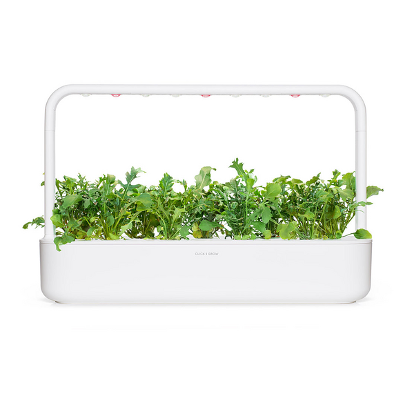Click & Grow Seeds Arugula