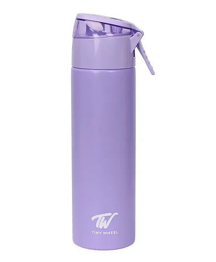 Purple Spray Stainless Steel Bottle 600ml