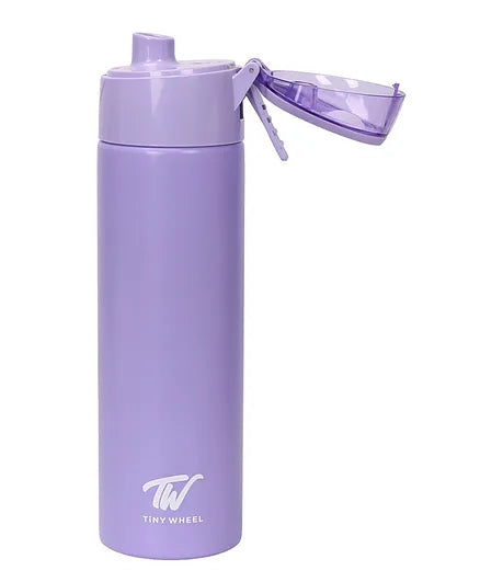 Purple Spray Stainless Steel Bottle 600ml