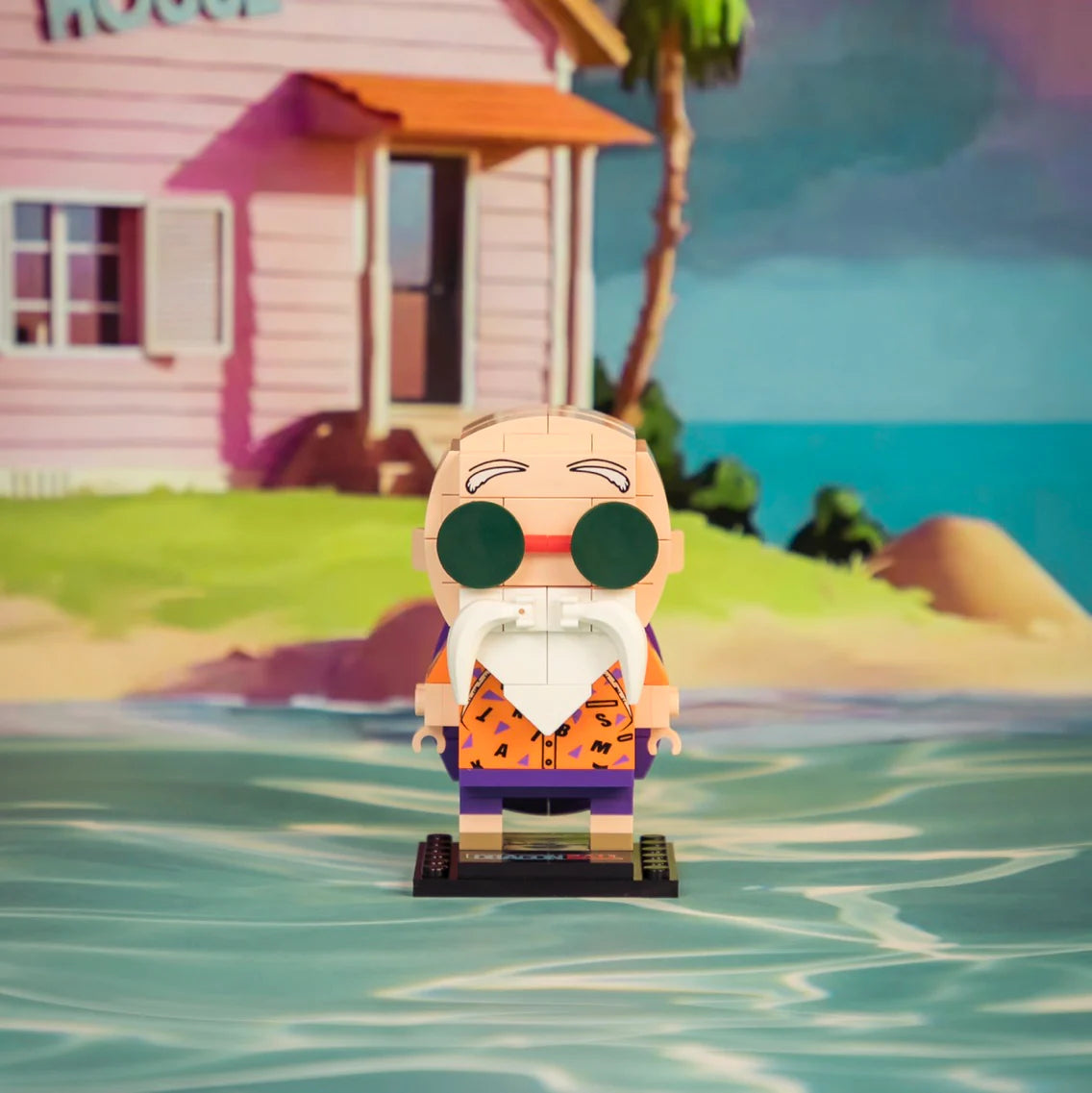 Master Roshi