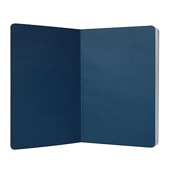 Halfmoon Bay A5 Notebook Softcover Harry Potter Hufflepuff