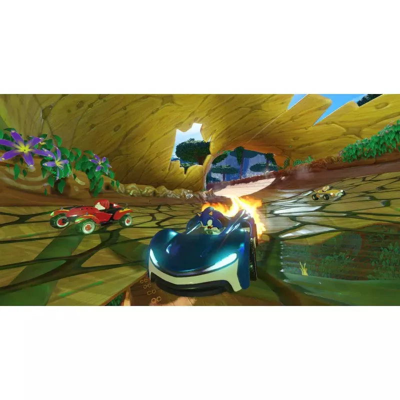 Team Sonic Racing GCAM