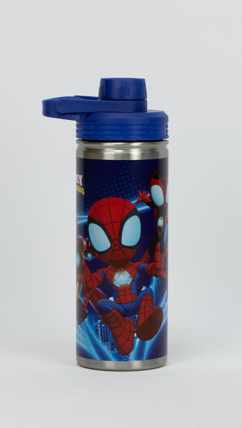 Marvel -Spidey & Friends SS Water Bottle Pp Lid - 620 Ml