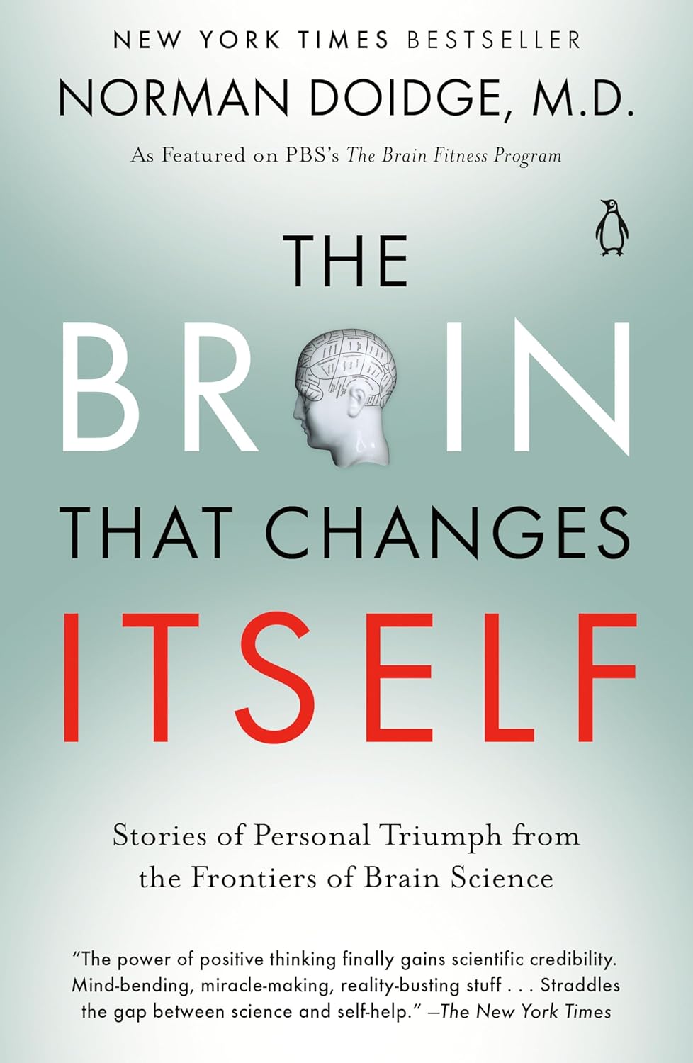 Brain That Changes Itself