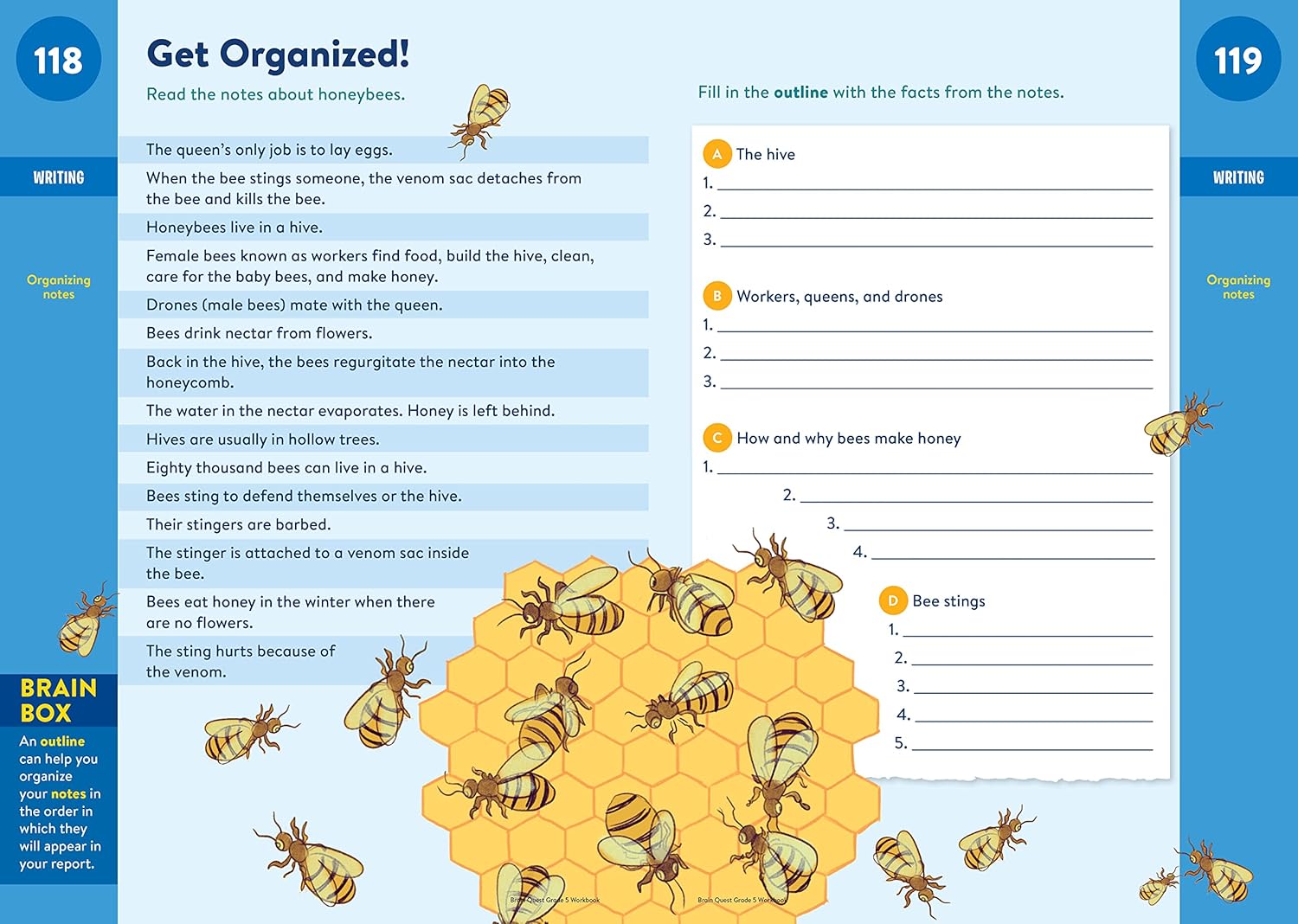 Brain Quest Workbook: 5Th Grade (Revised Edition)