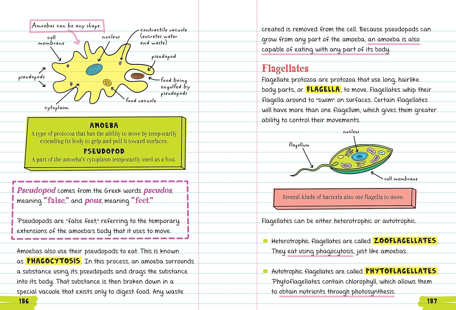 Everything You Need To Ace Biology In One Big Fat Notebook