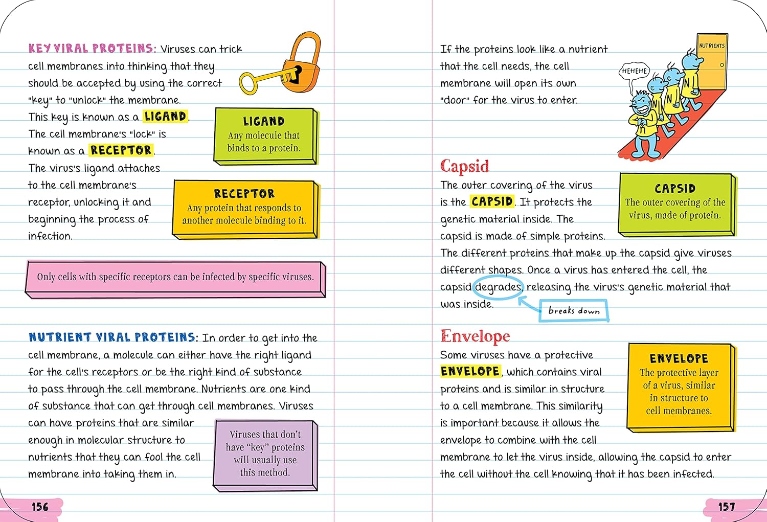 Everything You Need To Ace Biology In One Big Fat Notebook