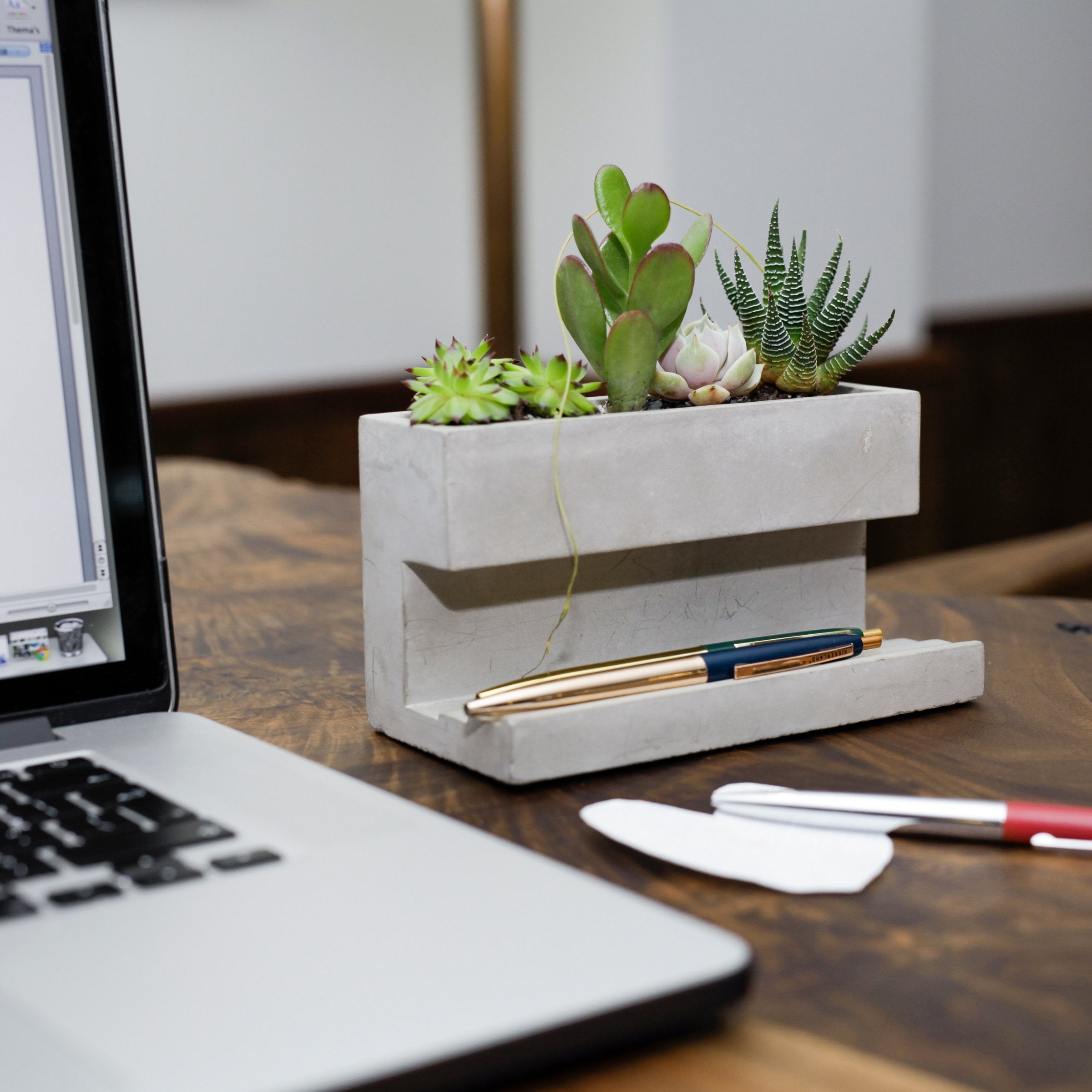 Kikkerland Concrete Desktop Planter Large